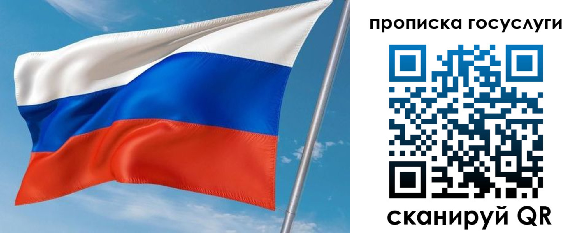прописка в Жуковском